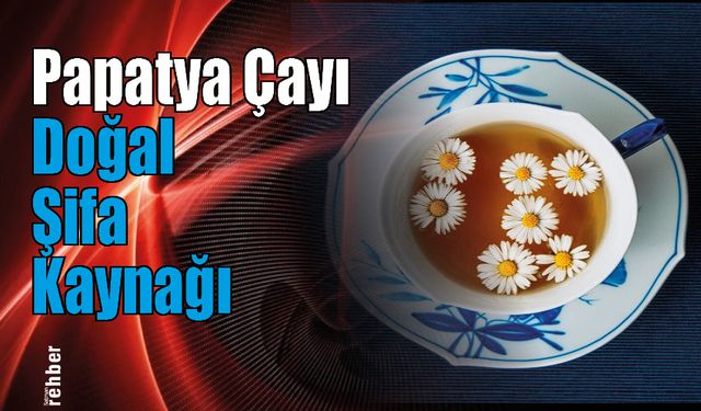 Papatya Çayı: Doğal Şifa Kaynağı